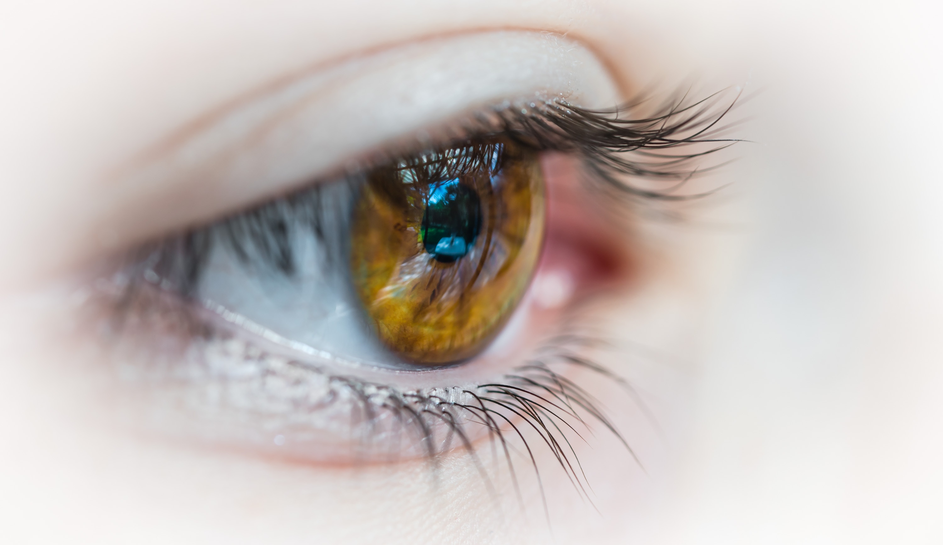 Die Funktion des menschlichen Auges Augenlaserzentrum Wien Die Funktion des menschlichen Auges Augenlaserzentrum Wien